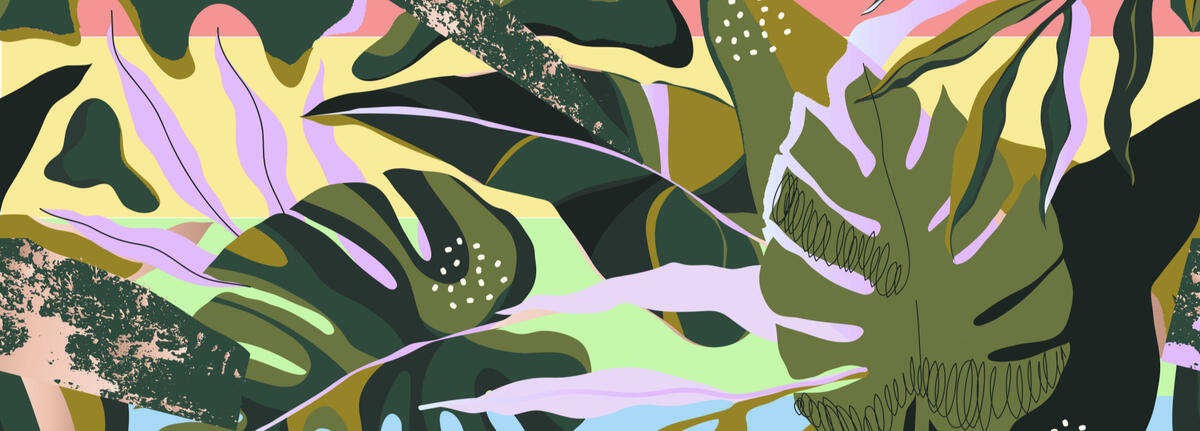 Banner for Houseplants!